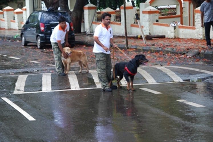 ????????????????????????????????????