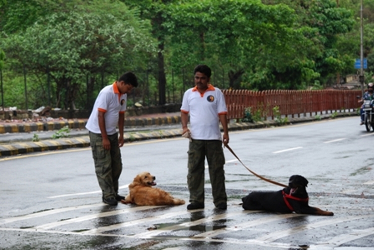 ????????????????????????????????????