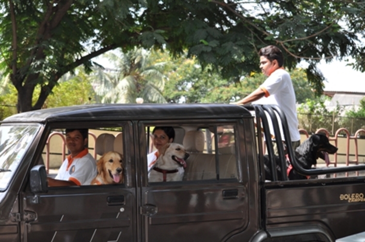 ????????????????????????????????????