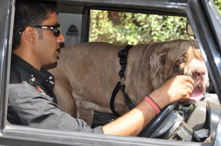 ????????????????????????????????????