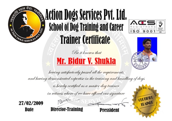 Mr. Bidur V. Shukla