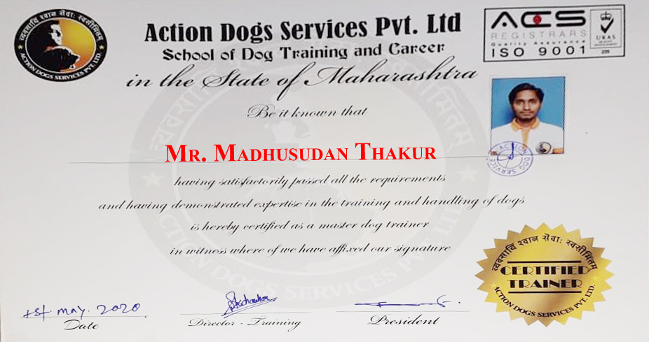 Mr. Madhusudan Thakur