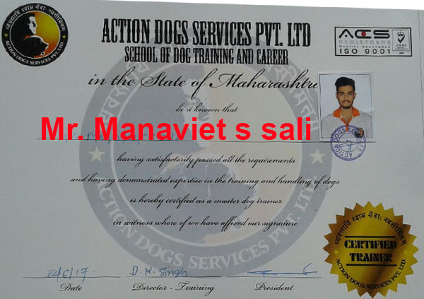 Mr. Manaviet S Sali