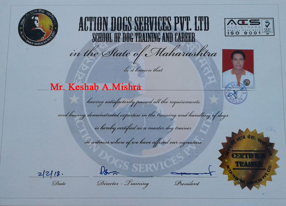 Mr. Keshab A. Mishra