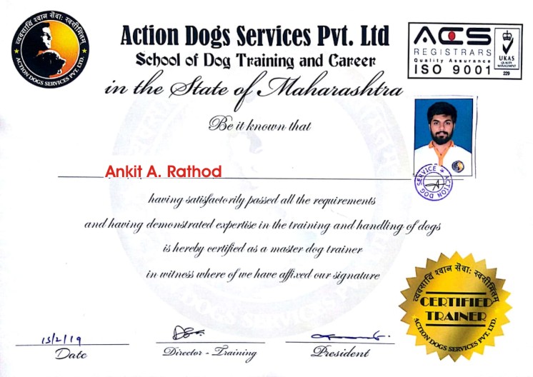 Mr. Ankit A. Rathod