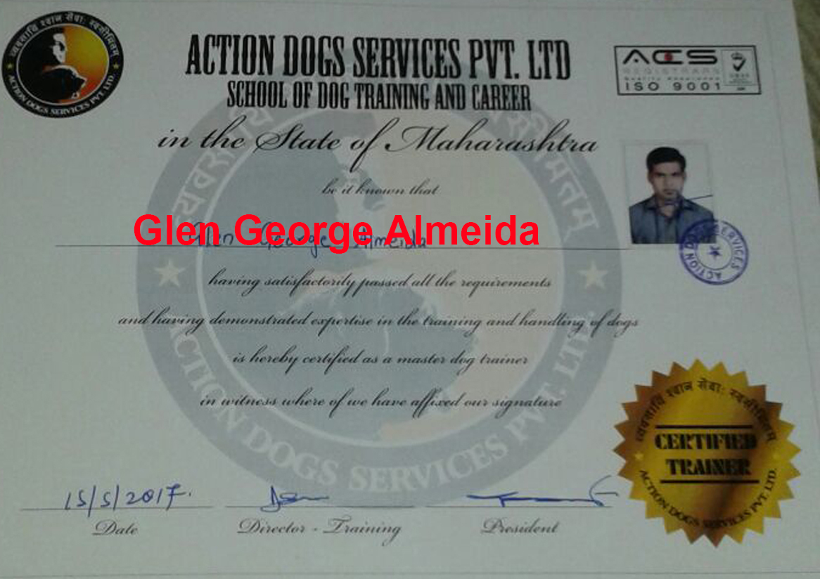 Mr. Glen George Almedia