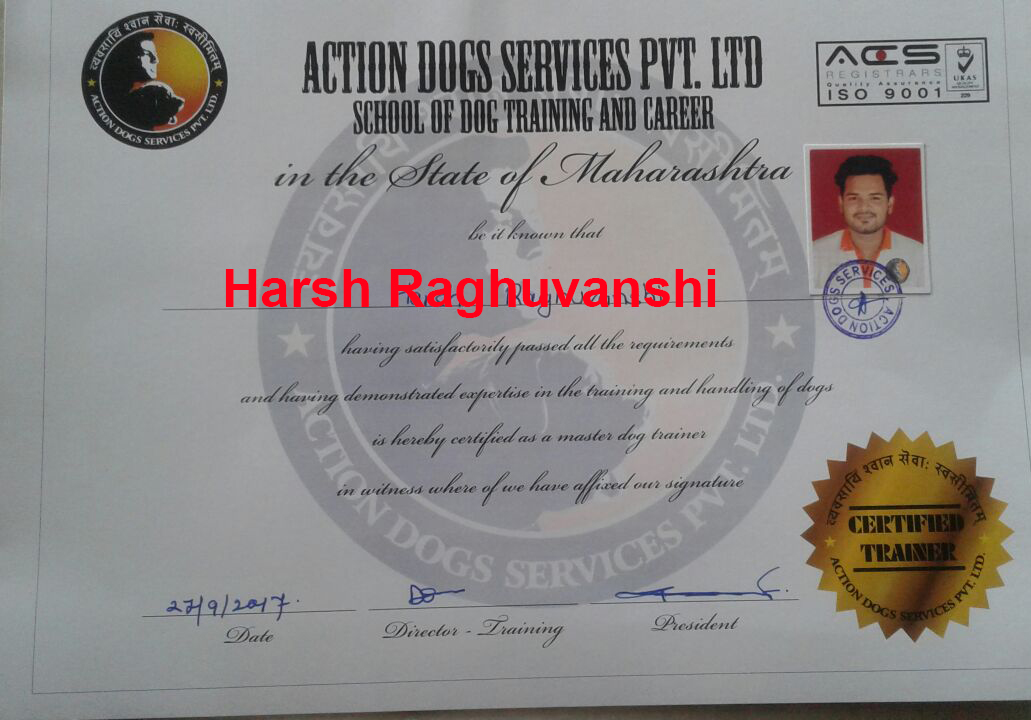 Mr. Harsh Raghuvansi