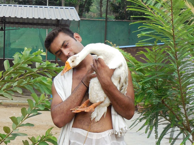 Best protection Dogs in Mumbai