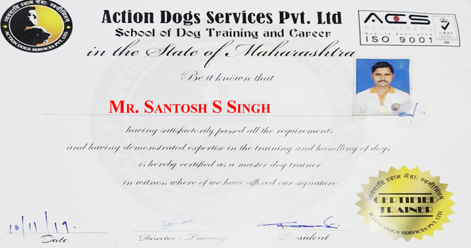 Mr. Santosh S. Singh