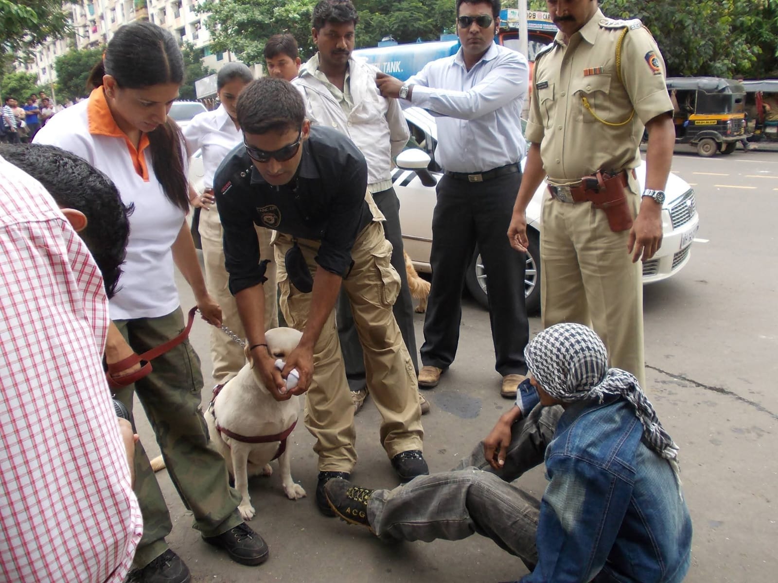 Sniffer Dogs on Rent