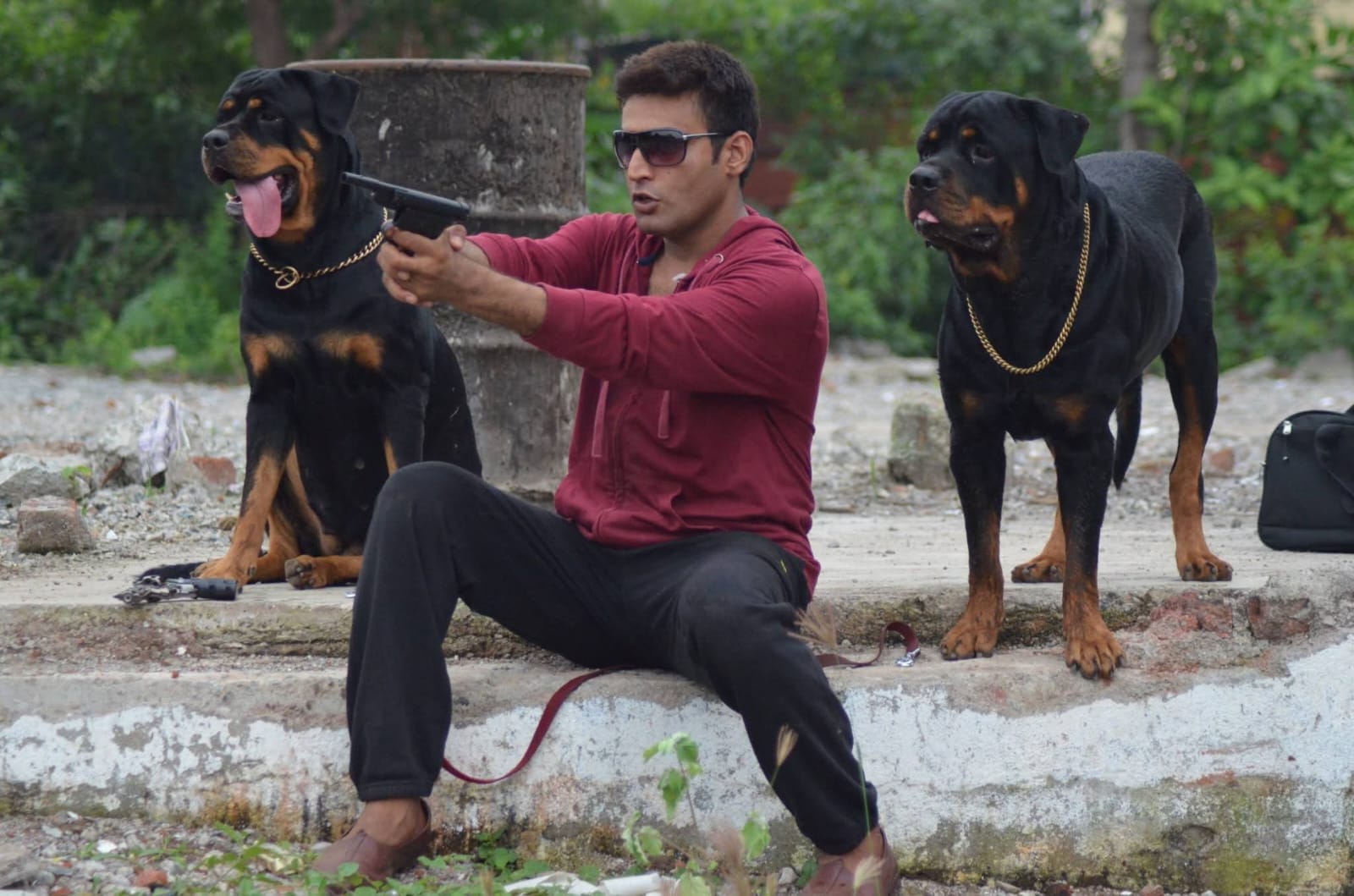 K9 Dogs Squads Security