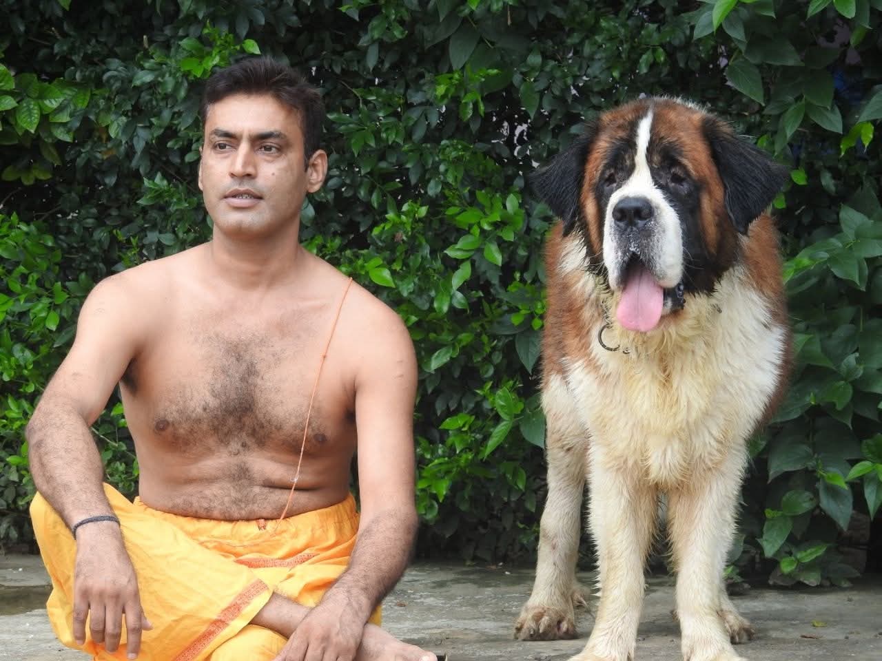 Animal Guru in India